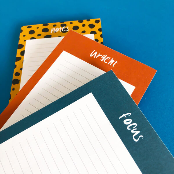 studio-stationery-focus-cheetah