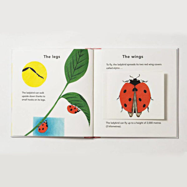 laurence-king-publishing-the-ladybird-lieveheersbeestje