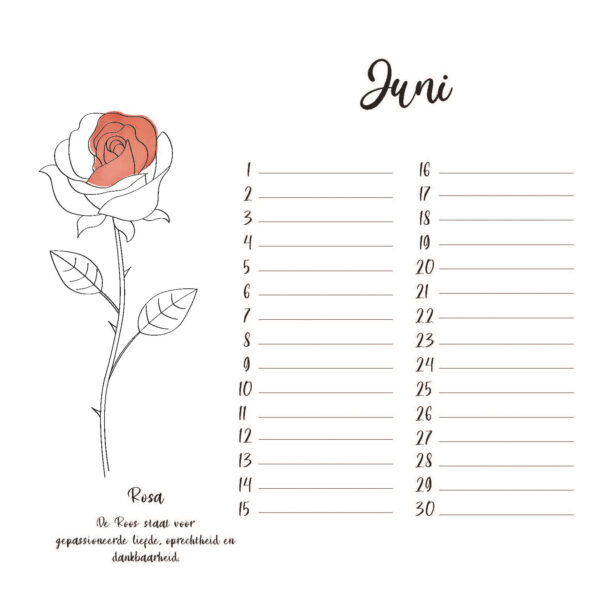 geboortebloemen-verjaardagskalender-pup-store