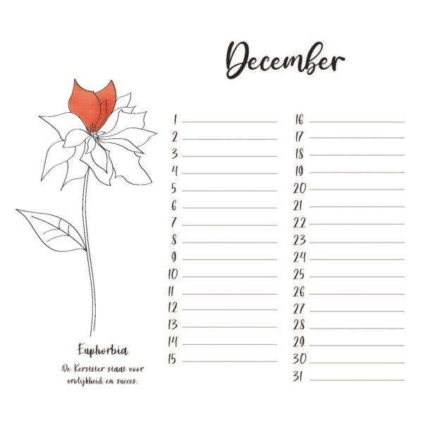 geboortebloemen-verjaardagskalender-pup-store