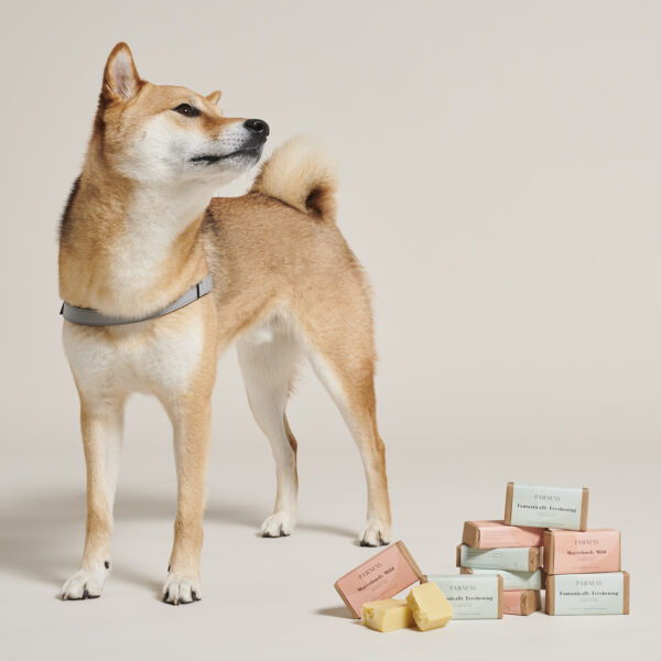 pawness-fantastically-freshening-shampoo-bar