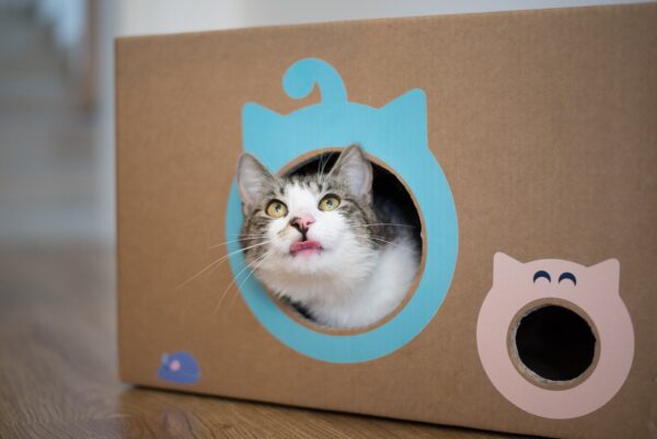 badala-sticker-set-cat-house