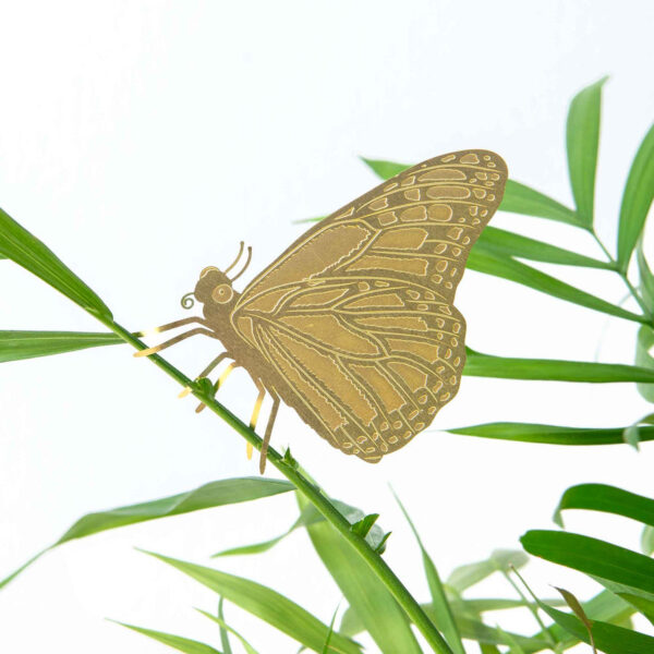 another-studio-plant-animals-butterfly