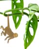 another-studio-plant-animals-monkey