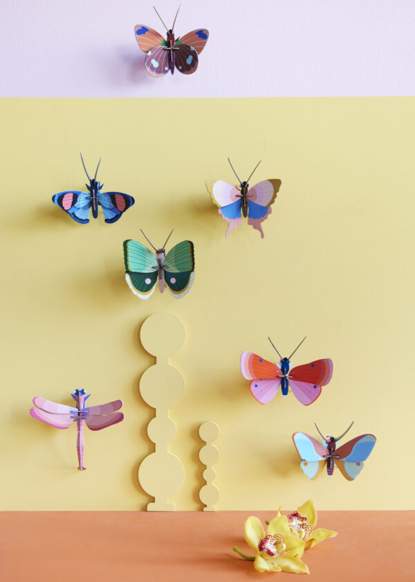 gold-rim-butterflies-studio-roof