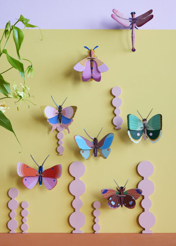 gold-rim-butterflies-studio-roof