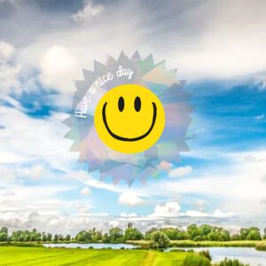 studio inktvis raamsticker smiley