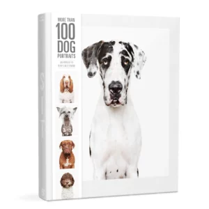 more-than-100-dog-portraits